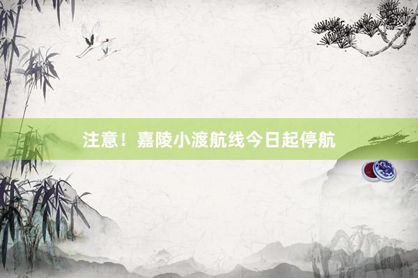 注意！嘉陵小渡航线今日起停航