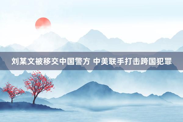 刘某文被移交中国警方 中美联手打击跨国犯罪